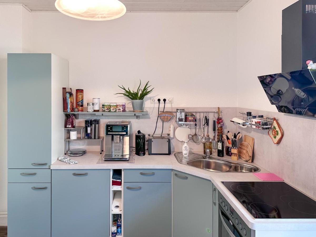 Schoene Altbauwohnung Mit Grosser Sonnenterrasse Apartment