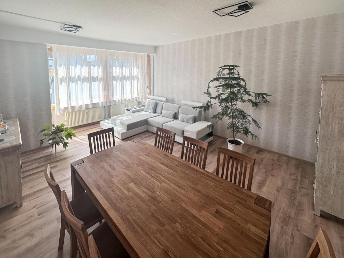 Schoene Altbauwohnung Mit Grosser Sonnenterrasse Apartment
